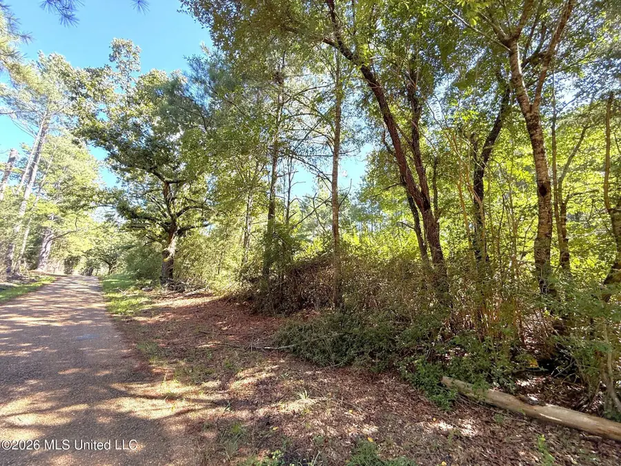 Bethel Road, Liberty, MS 39645 - #3