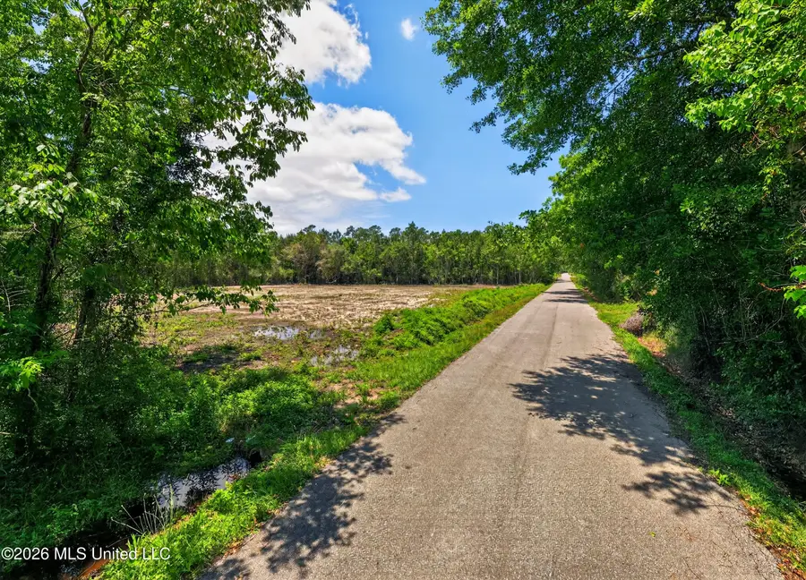 Josephine Street, Pass Christian, MS 39571 - #3