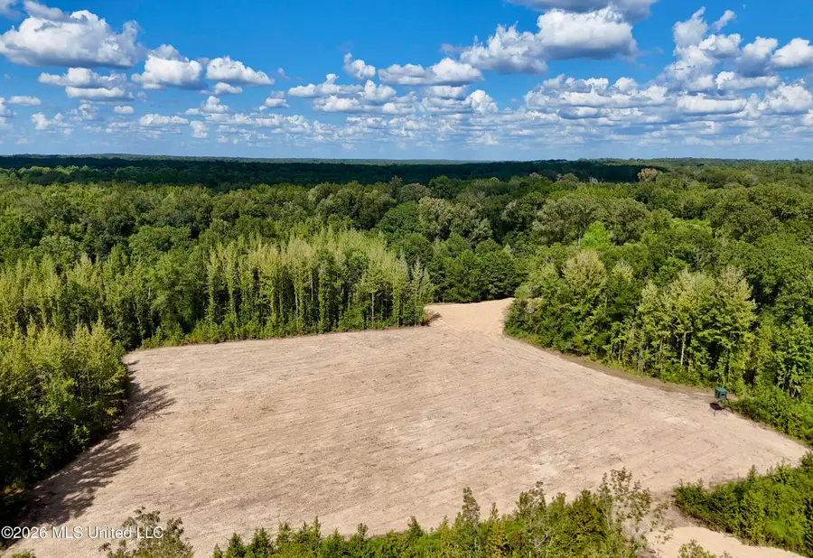 0001 Chapel Hill Road, Utica, MS 39175 - #2