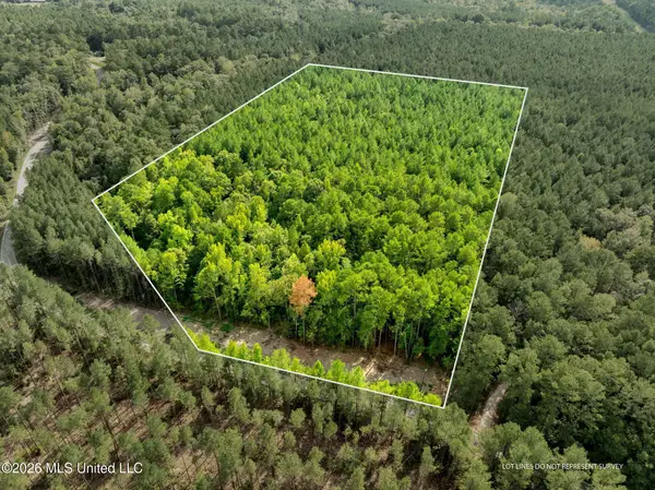 15 Acres Porter Hudson Road, Sumrall, MS 39482