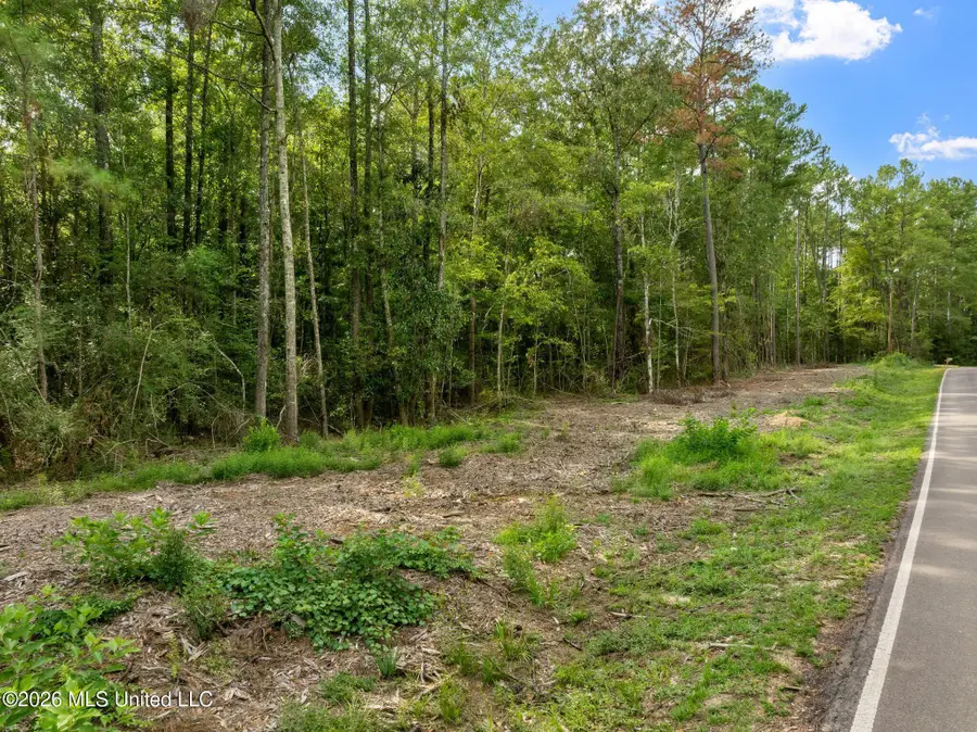 15 Acres Porter Hudson Road, Sumrall, MS 39482 - #3