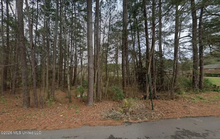 115 W Lakeside Drive, Hattiesburg, MS 39402 - #2