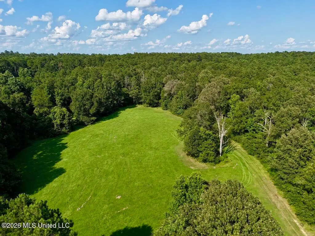 0057 Monticello Road, Wesson, MS 39191 - #1