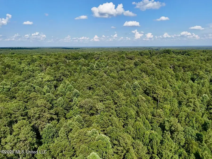 0057 Monticello Road, Wesson, MS 39191 - #2
