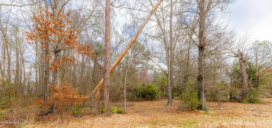 0 Flowood Dr Drive, Flowood, MS 39232 - #2