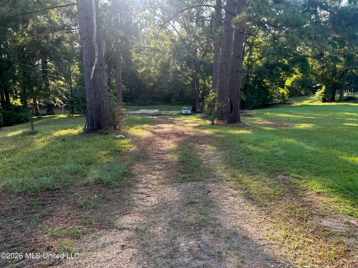 77 Magnolia Acres Road, Natchez, MS 39120 - #1