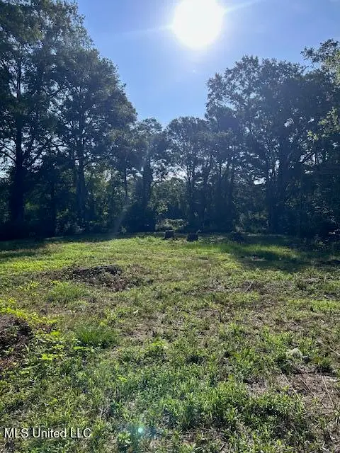 4528 Hanging Moss Road, Jackson, MS 39206 - #2