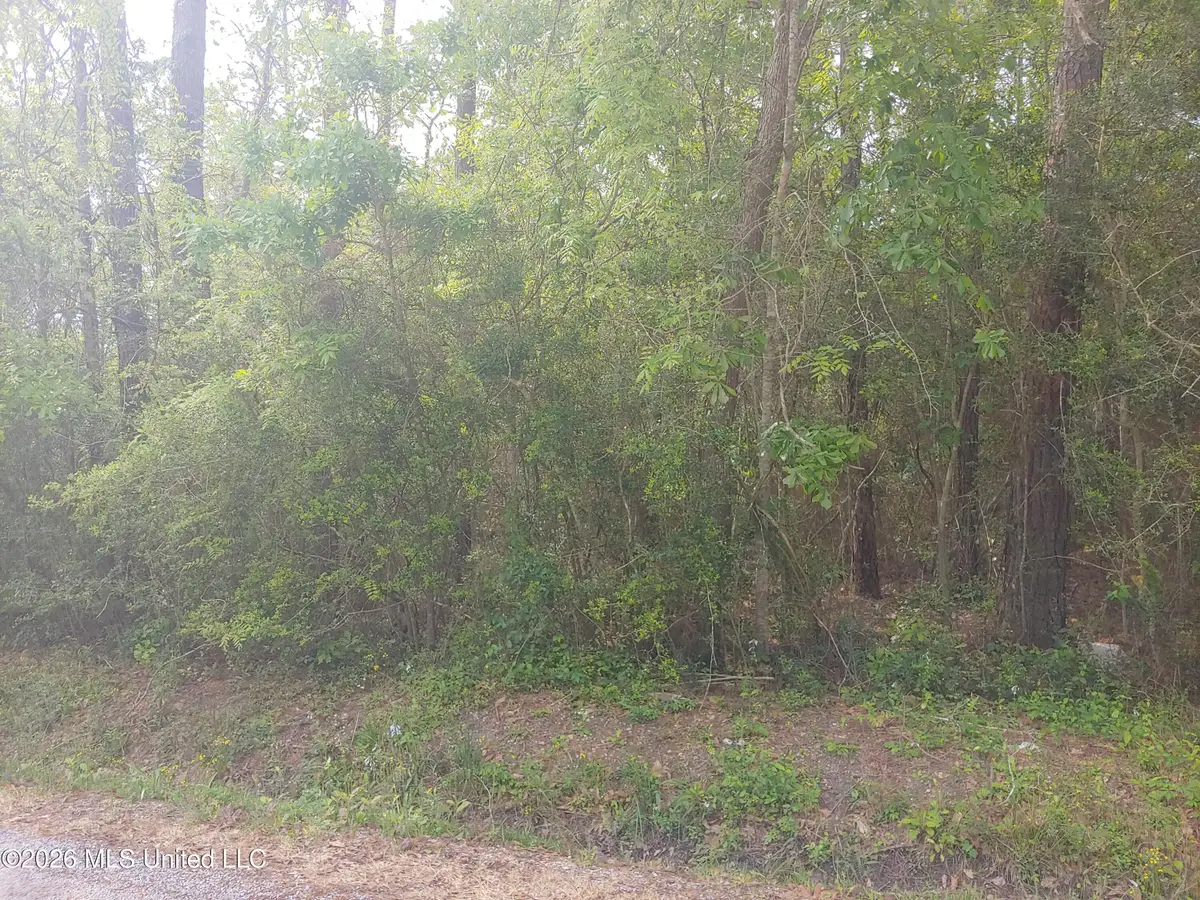 E Newton Street, Bay Saint Louis, MS 39520 - #1
