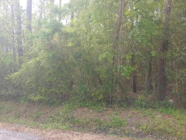 E Newton Street, Bay Saint Louis, MS 39520