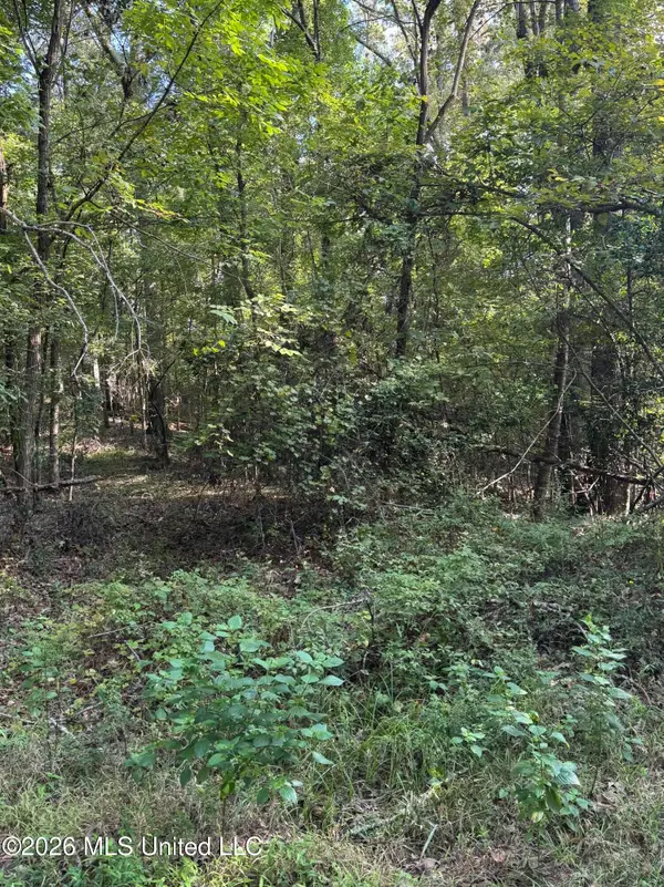 15 Aberdeen Road, Natchez, MS 39120