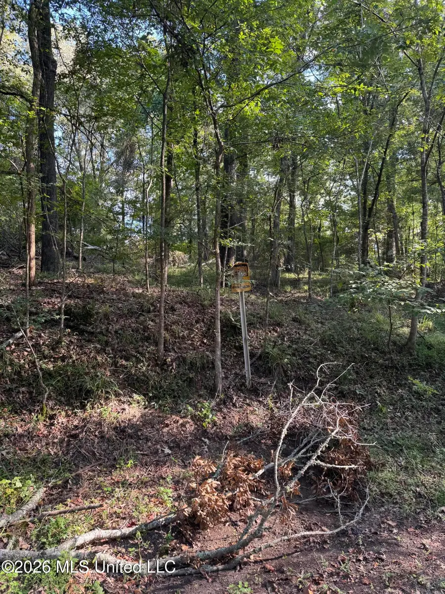 15 Aberdeen Road, Natchez, MS 39120 - #3