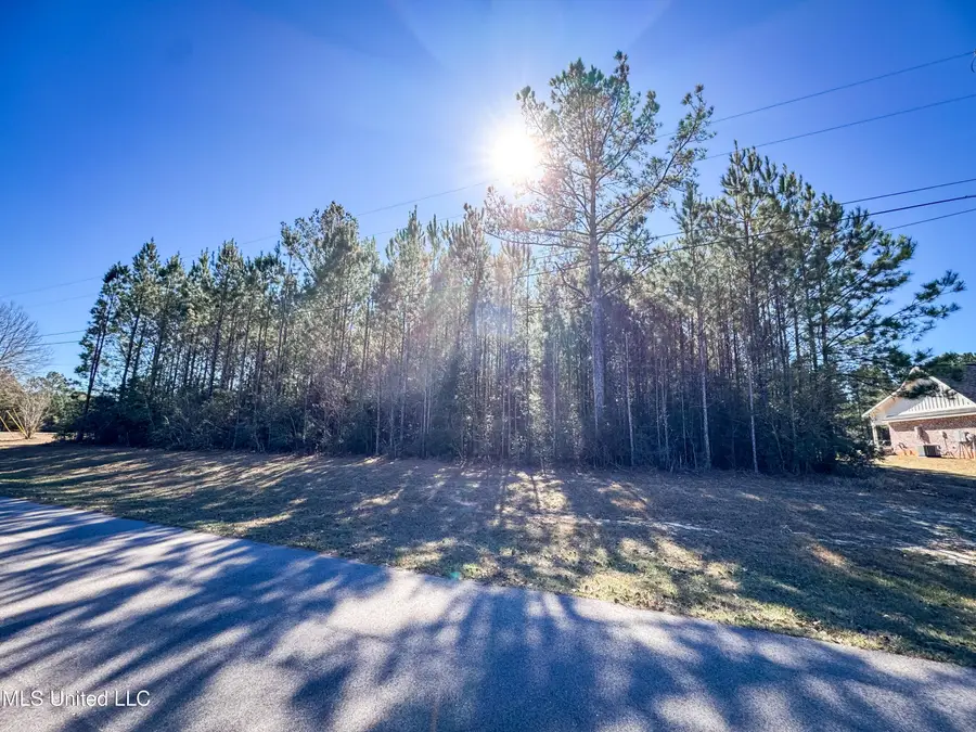 Dill Road, Saucier, MS 39574 - #3