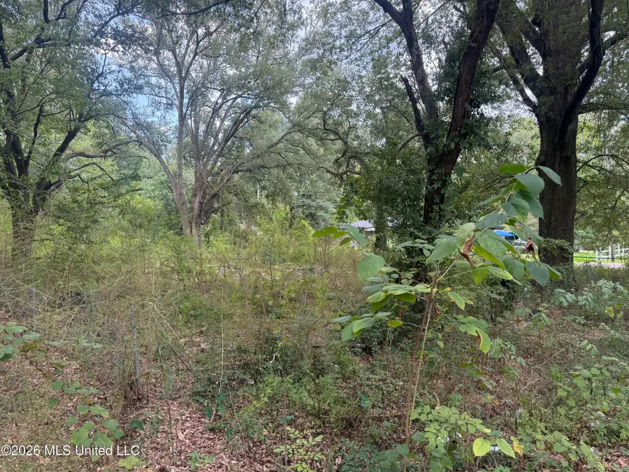 2950 Barwood Drive, Jackson, MS 39212 - #3