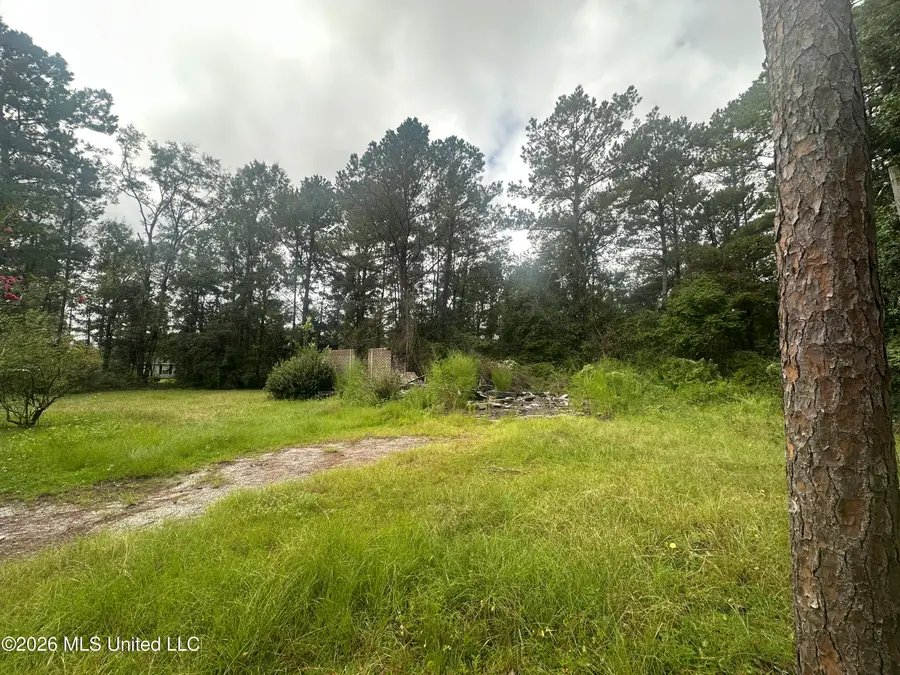 13913 Omega Road, Vancleave, MS 39565 - #2