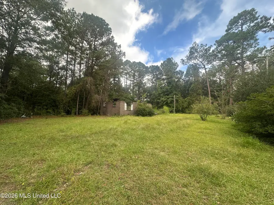 13913 Omega Road, Vancleave, MS 39565 - #3