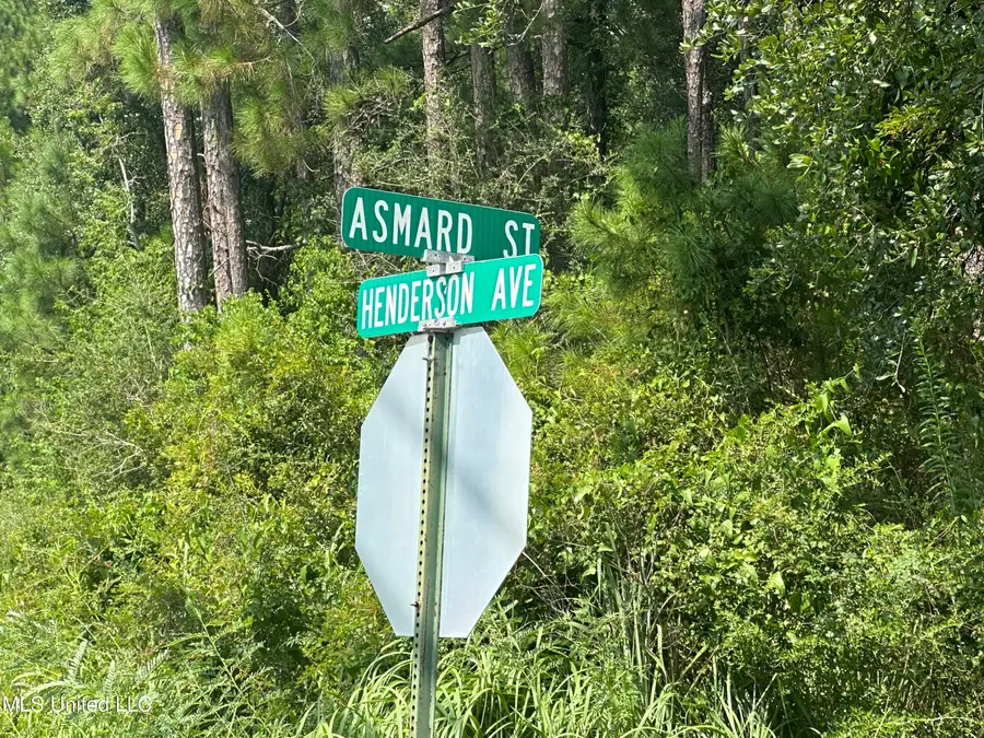 0 Asmard Street, Pass Christian, MS 39571 - #2