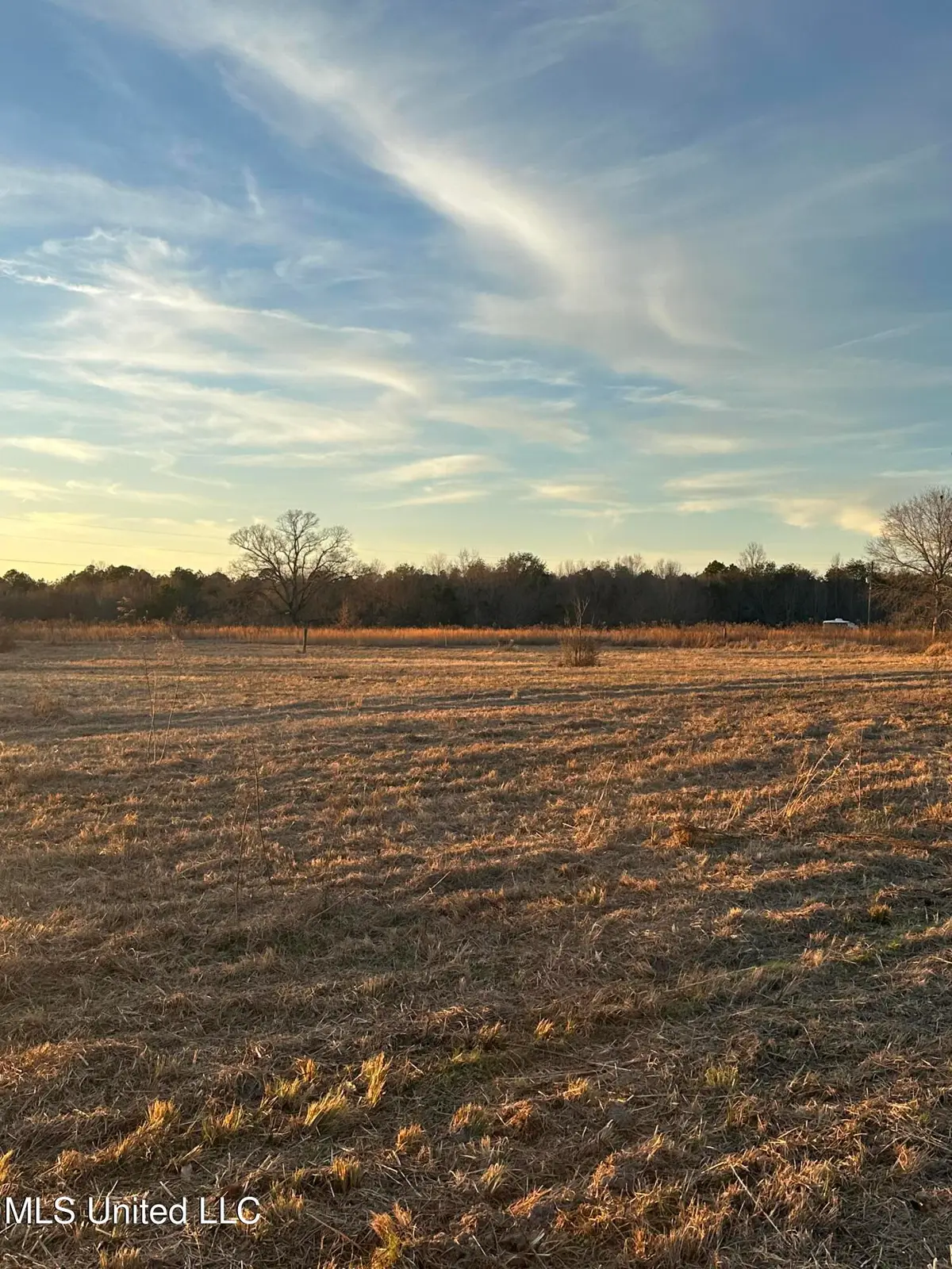 000 Ovelle Lee Road, Poplarville, MS 39470 - #1