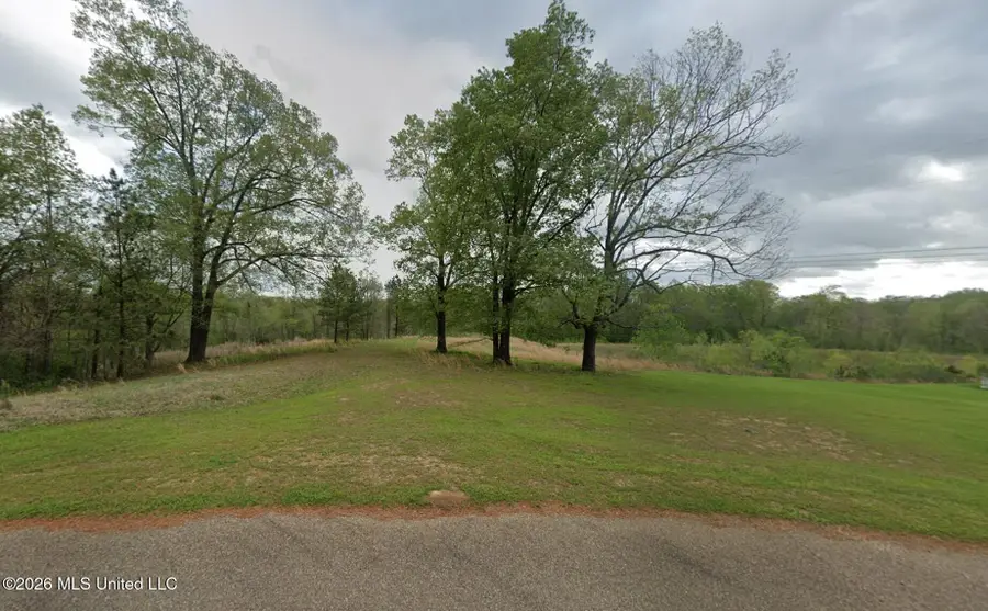 311 Silver Creek Drive, Vicksburg, MS 39180 - #2