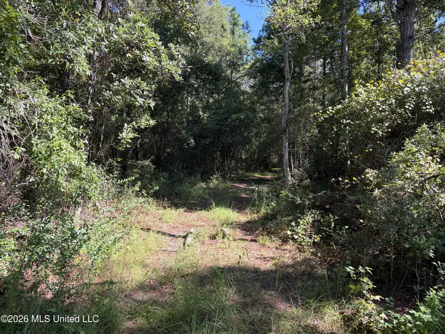 Rayford Shumock Road, Moss Point, MS 39562 - #3