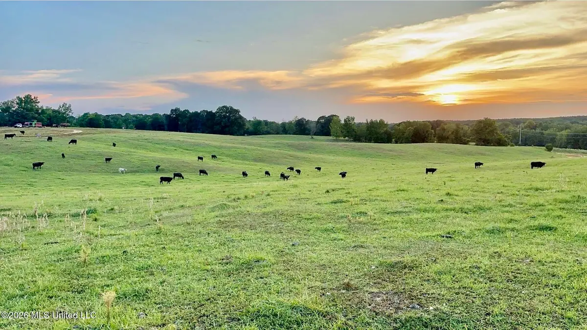 1955 Adams Road, Oakland, MS 38948 - #1