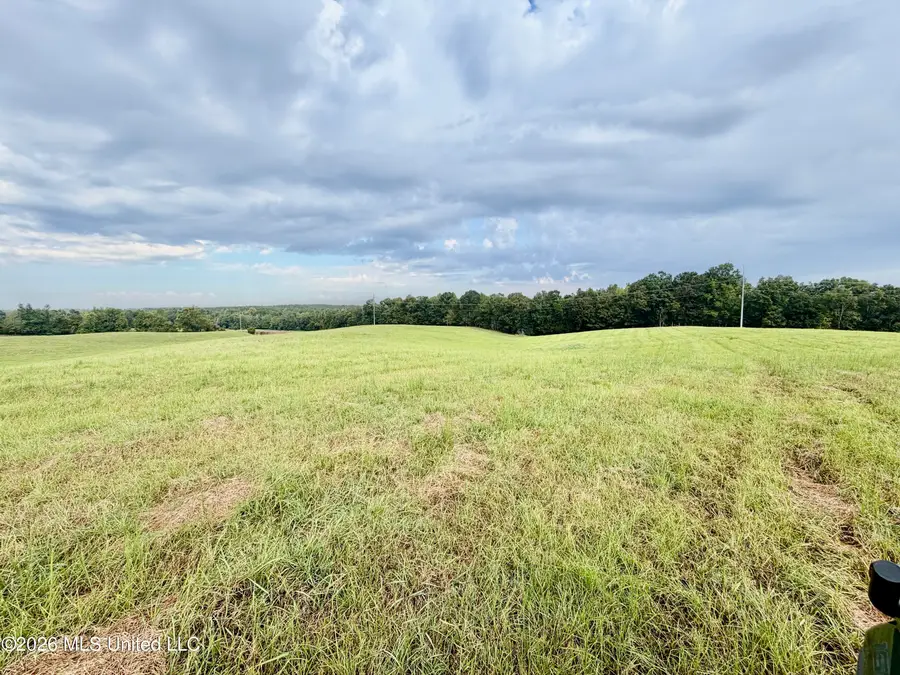 1955 Adams Road, Oakland, MS 38948 - #3