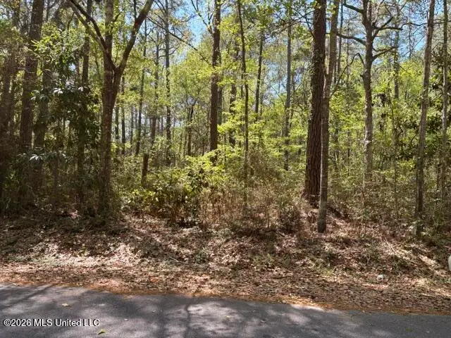 Lot # 434 Walnut Street, Ocean Springs, MS 39564 - #2