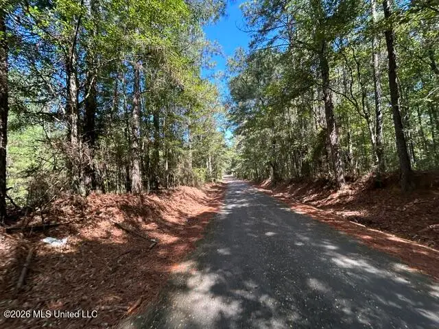 Irene Road, Summit, MS 39666 - #1
