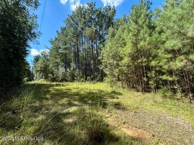 Irene Road, Summit, MS 39666 - #2