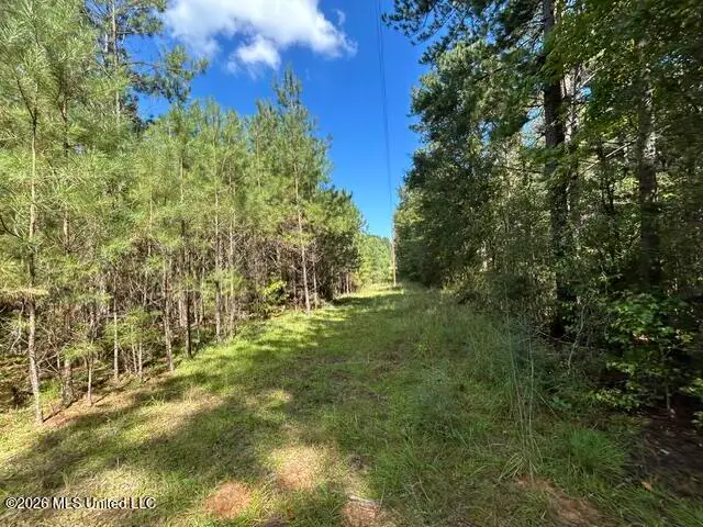 Irene Road, Summit, MS 39666 - #3
