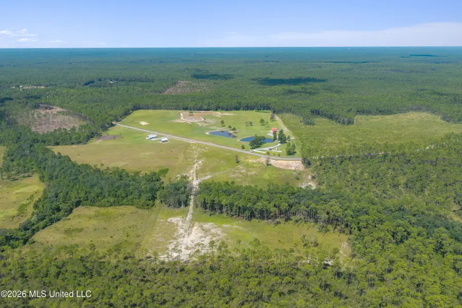 16701 Larue Road, Vancleave, MS 39565 - #3