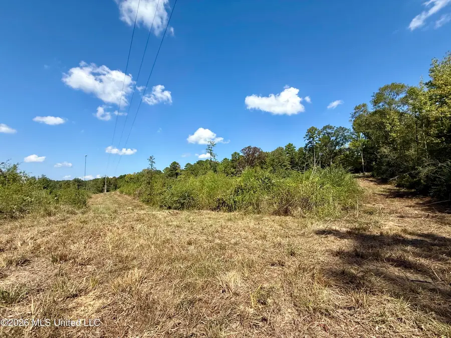 Cooper Road, Camden, MS 39045 - #3