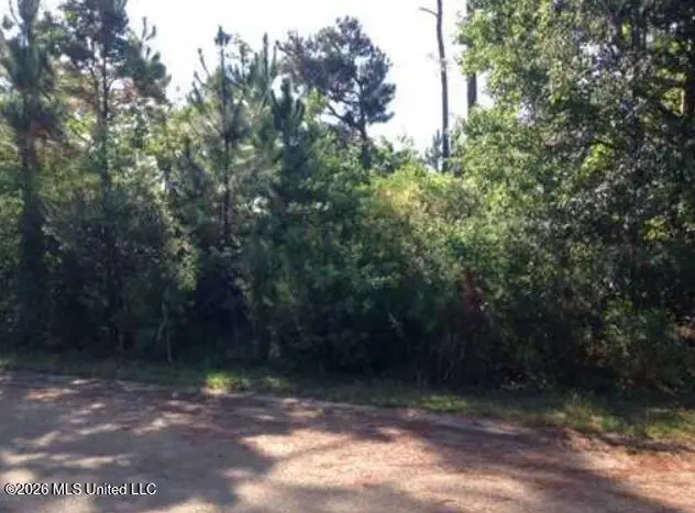Beechwood Street, Pass Christian, MS 39571 - #1