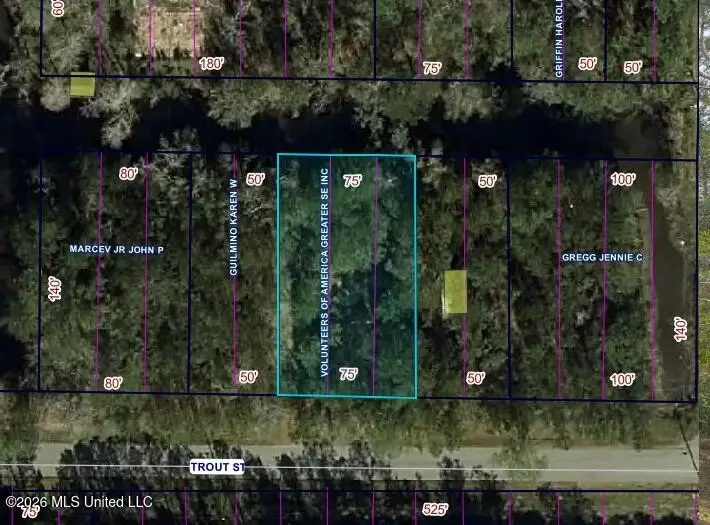 5028 Trout Street, Bay Saint Louis, MS 39520 - #1