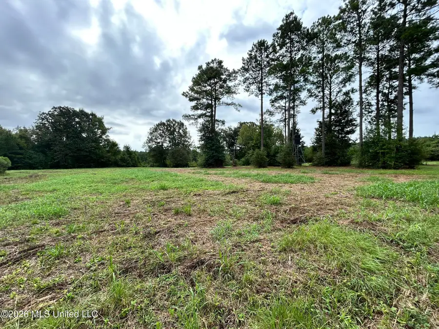 Jayess Road, Jayess, MS 39641 - #2
