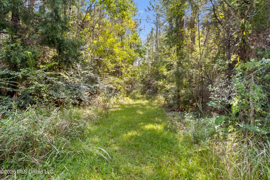 Belmont Estates Drive, Gautier, MS 39553 - #3