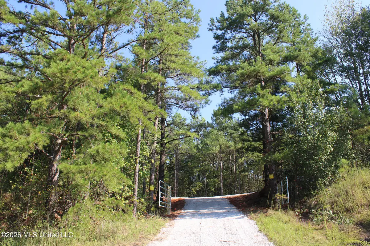6900 Hwy 370, Ashland, MS 38603 - #1