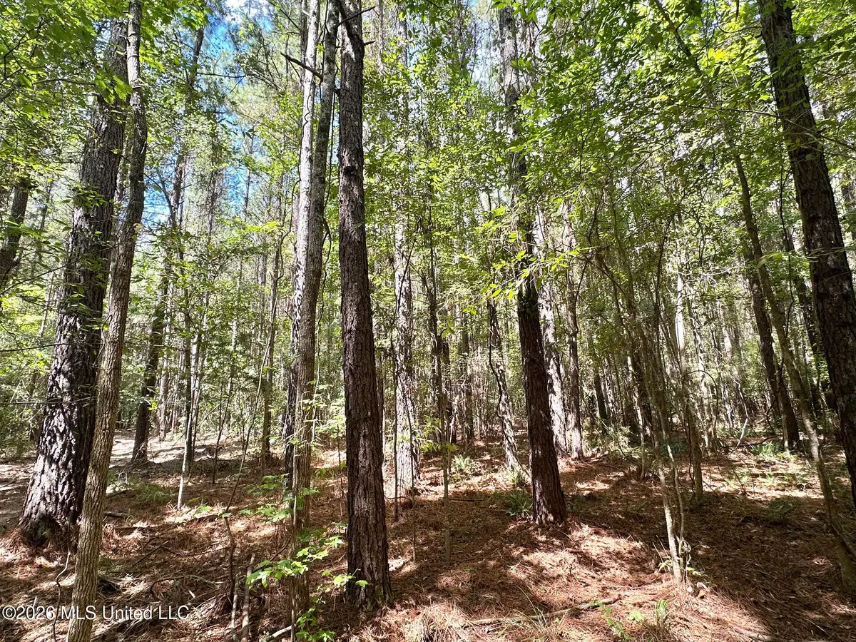 4 Clara Foote Rd, Braxton, MS 39044 - #1