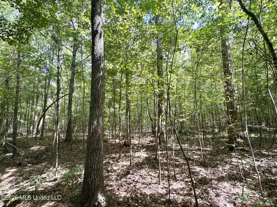 4 Clara Foote Rd, Braxton, MS 39044 - #3