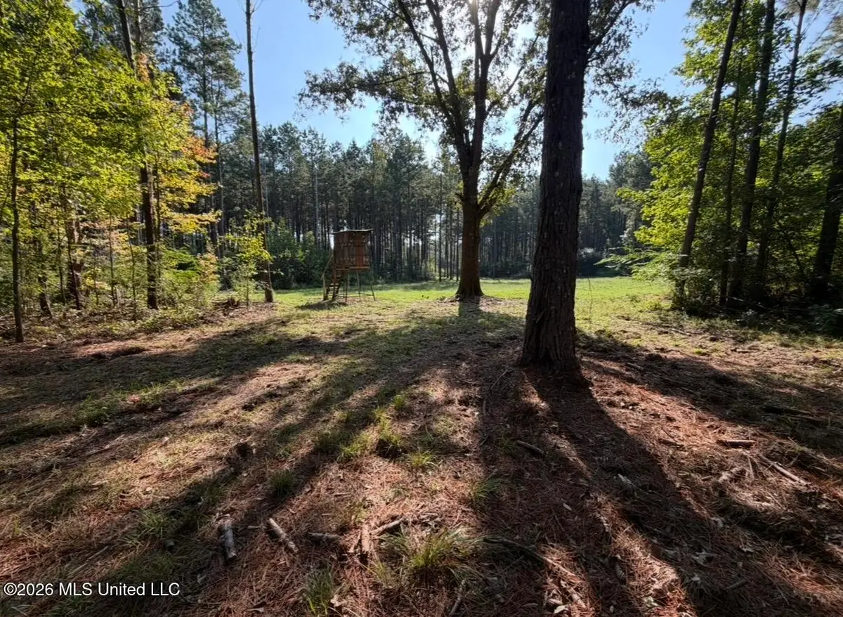 Mississippi 18, Raleigh, MS 39153 - #1
