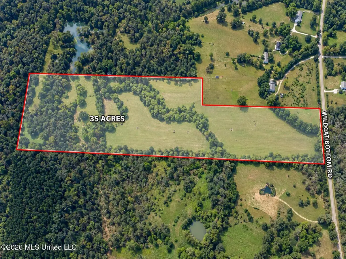 Wildcat Bottom Road, Red Banks, MS 38661 - #1