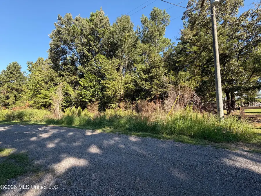 132 Alex Seals Lane, Brandon, MS 39042 - #2