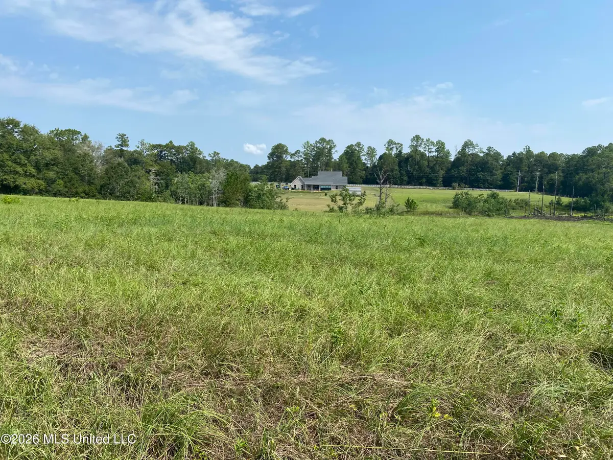 Oak Drive, Perkinston, MS 39573 - #1