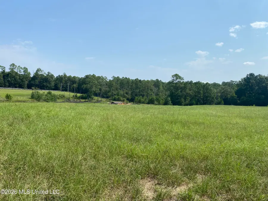 Oak Drive, Perkinston, MS 39573 - #2