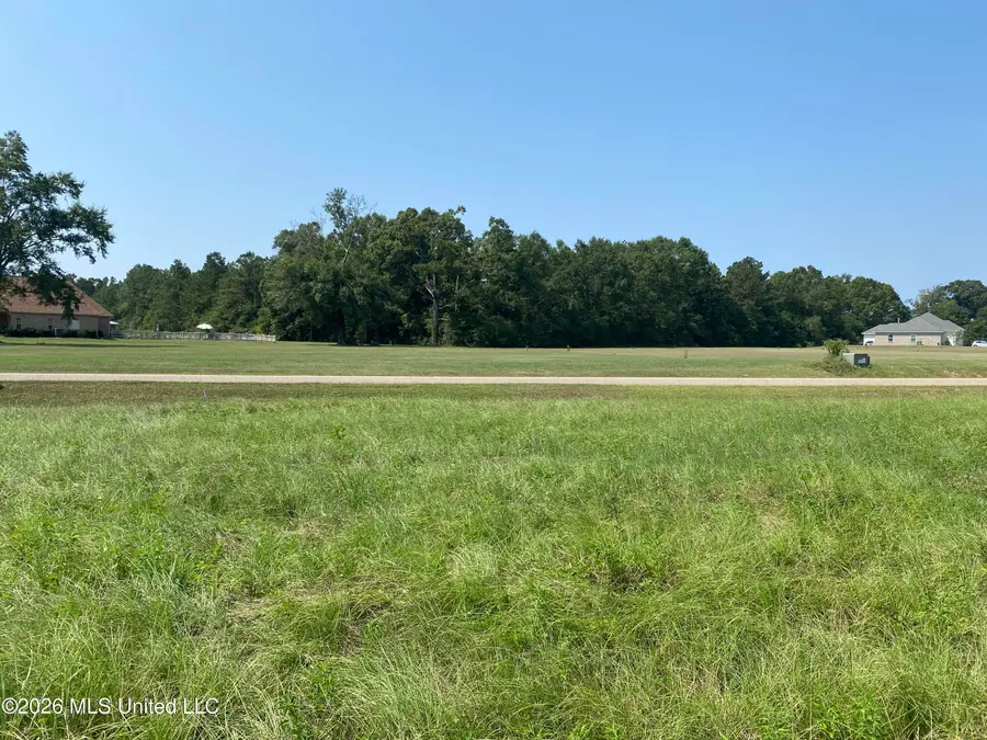 Oak Drive, Perkinston, MS 39573 - #3