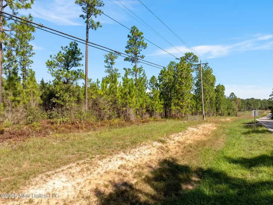 Hwy 11, Purvis, MS 39475 - #3