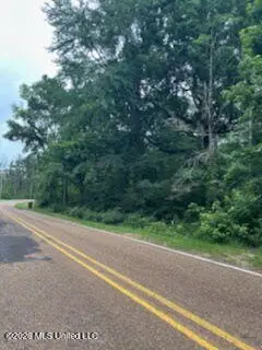 Sumrall Road, Crystal Springs, MS 39059 - #3
