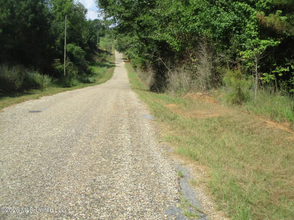 Allen Trail, Carson, MS 39427 - #1