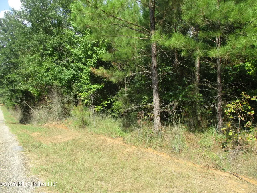 Allen Trail, Carson, MS 39427 - #3