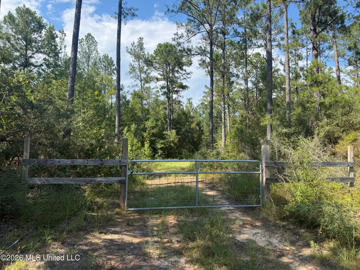 Merritt Road, Leakesville, MS 39451 - #1