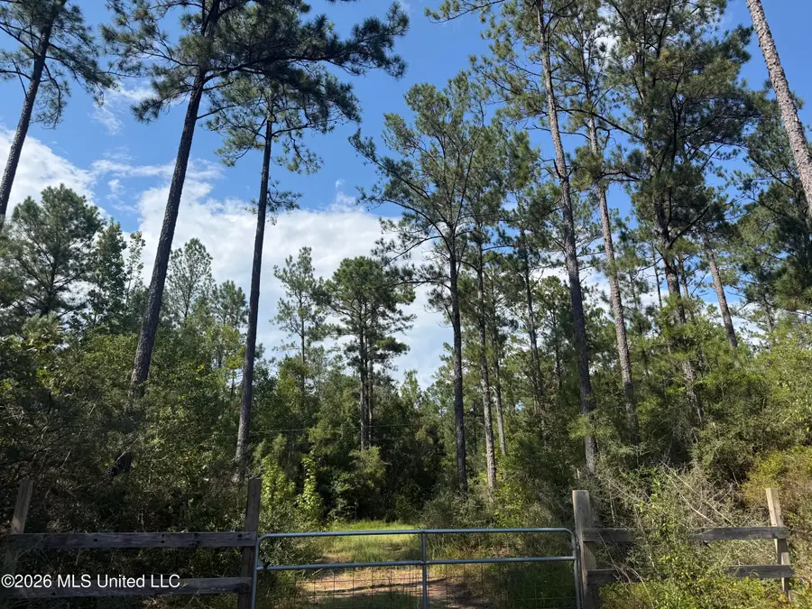 Merritt Road, Leakesville, MS 39451 - #2